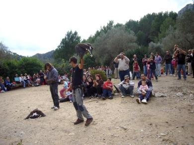En Galatzó entre aves rapaces y 'torrades'