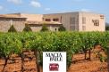 ¡Visita a las bodegas de Macià Batle!